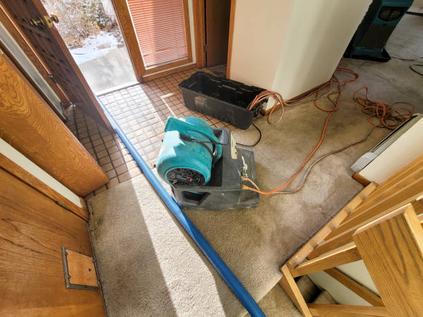 Best Flooded house restoration  in Pasatiempo, CA