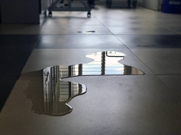Best Professional water damage repair  in Pasatiempo, CA
