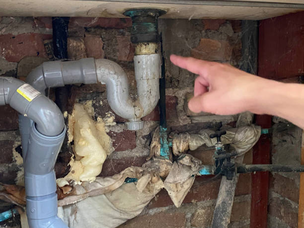 Best Ceiling water damage repair  in Pasatiempo, CA